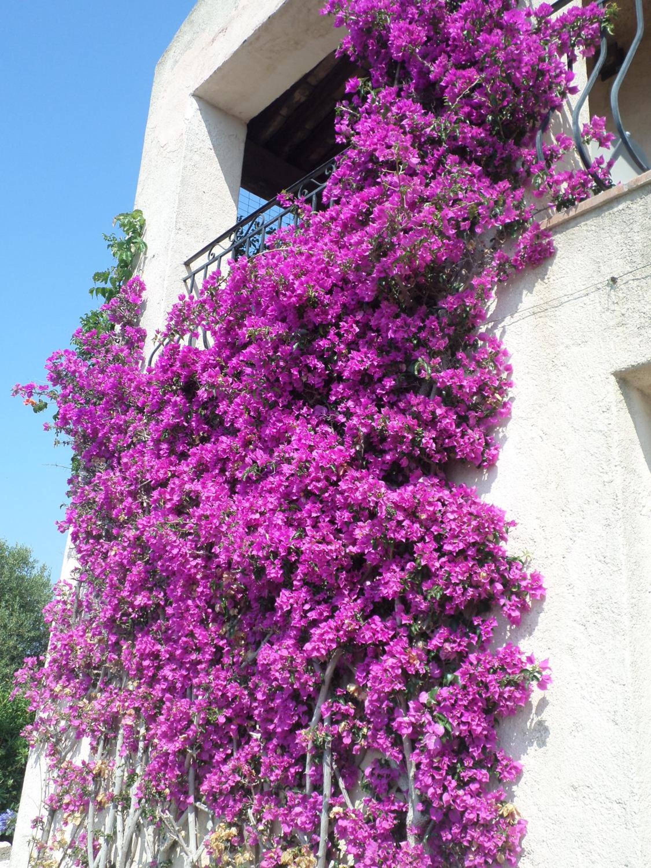 Photo 60