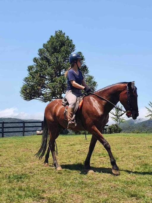 Haras Montebelluna - Campos do Jordão