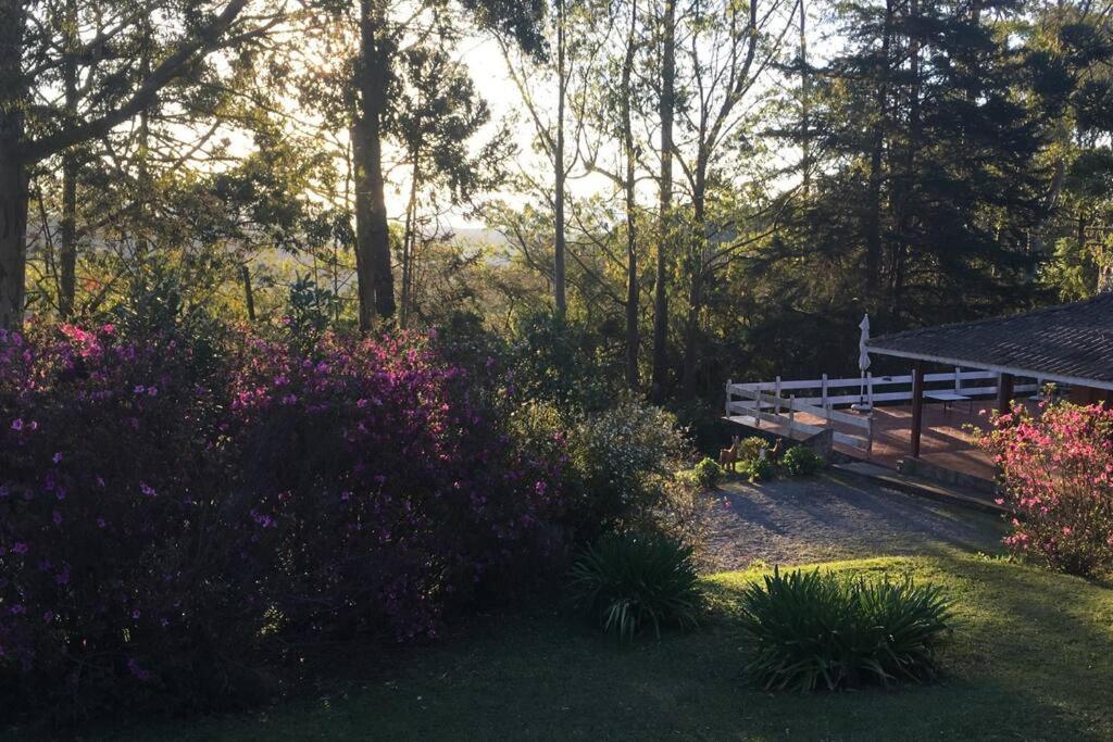 Haras Montebelluna - Campos do Jordão