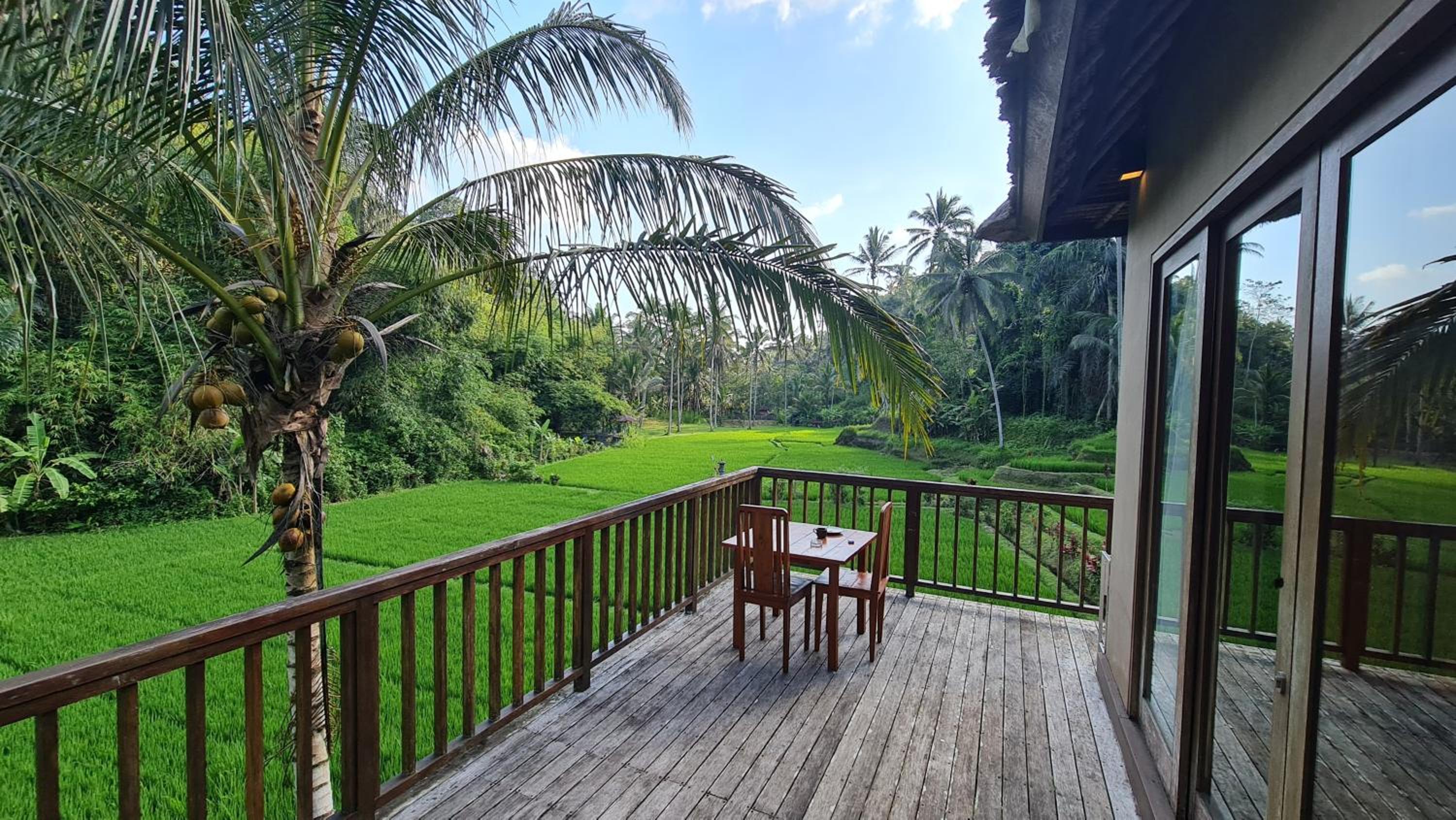 The Tirta Sari Villas view 2