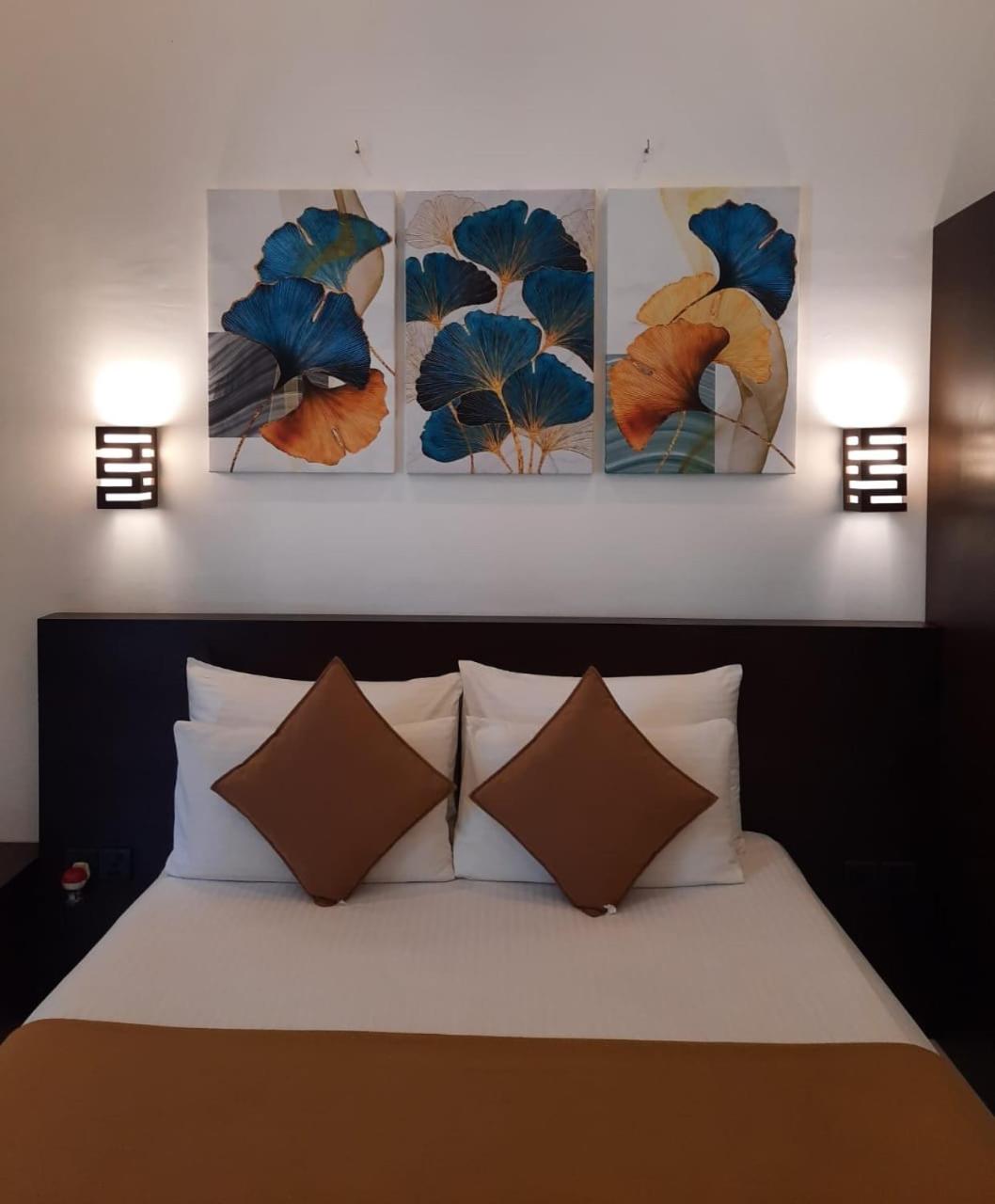 D Plus B&B Negombo