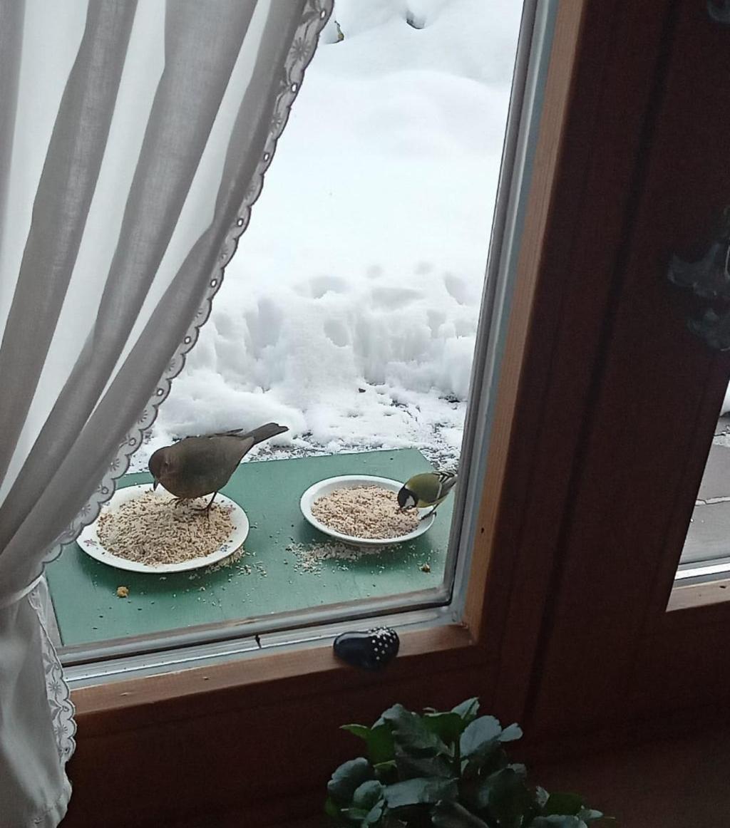 Ferienwohnung Moosegger