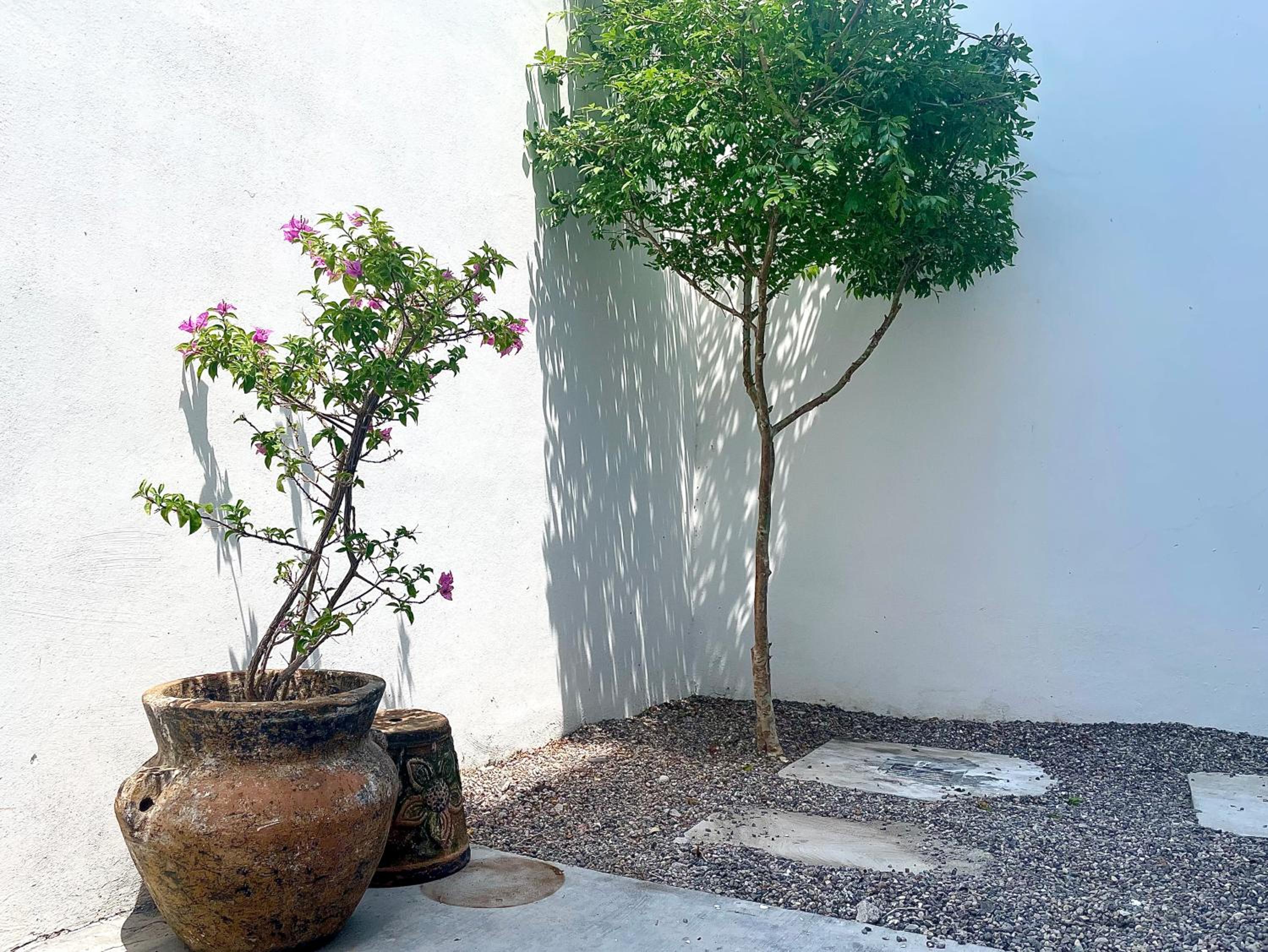 Casa DOS21 Boutique Apartments Playa Sur