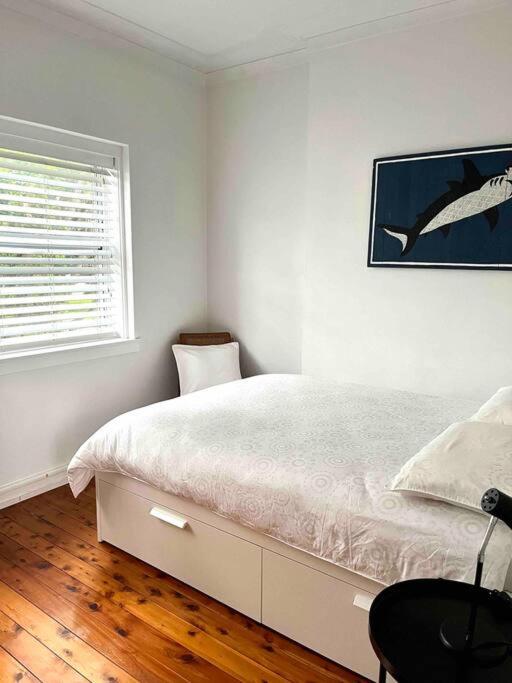 Stylish & Sunlit Bellevue Hill