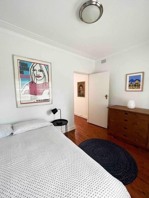 Stylish & Sunlit Bellevue Hill