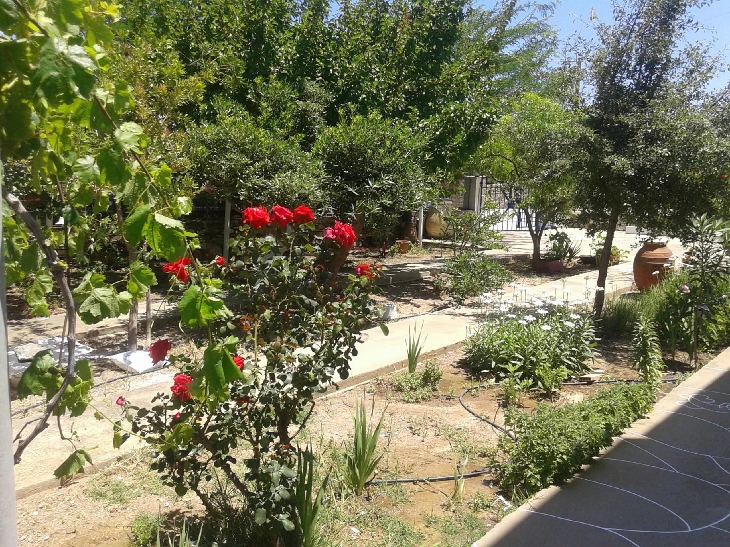 Photo 27