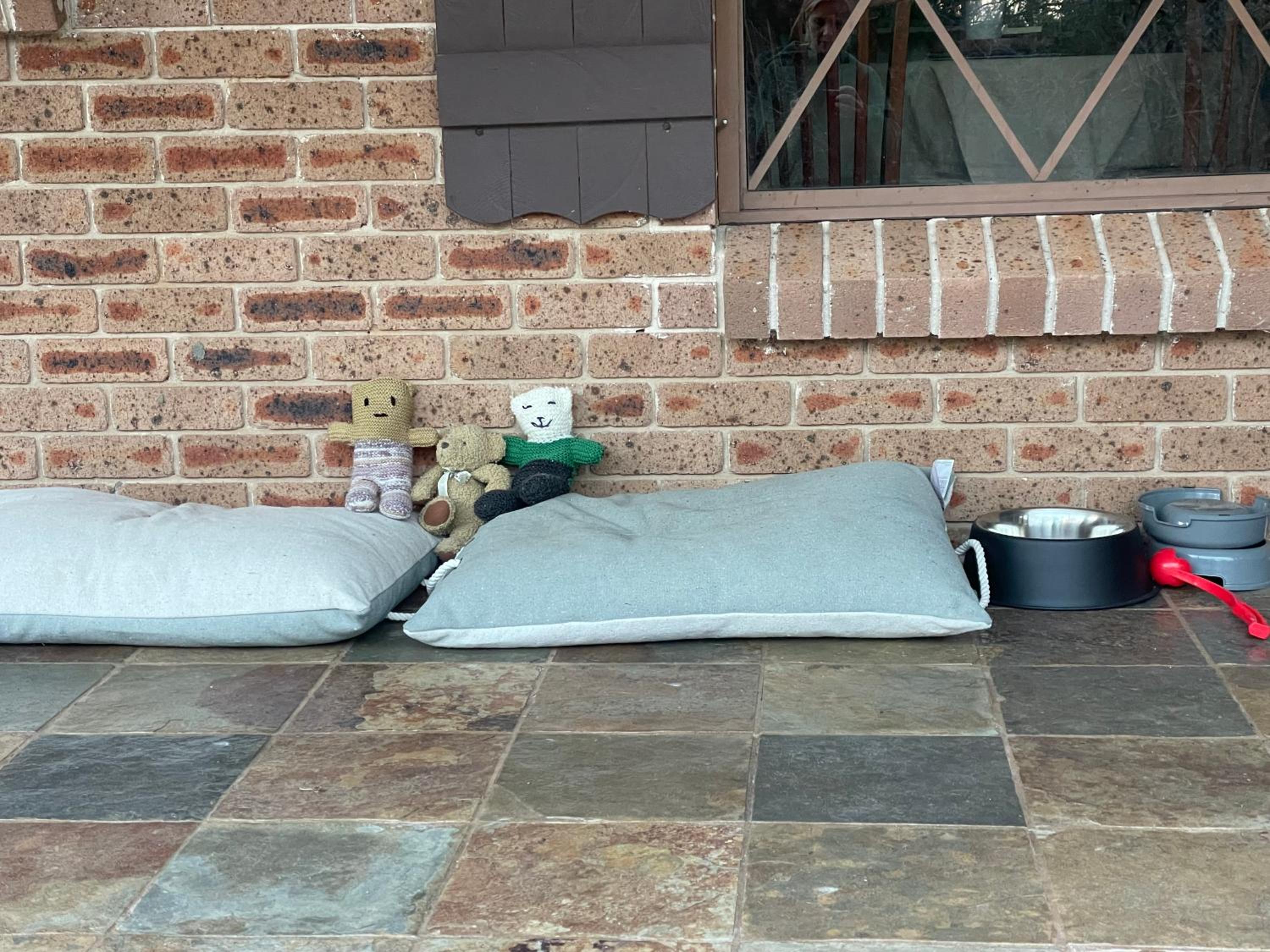 Mountain Culture Farm Stay - pet friendly