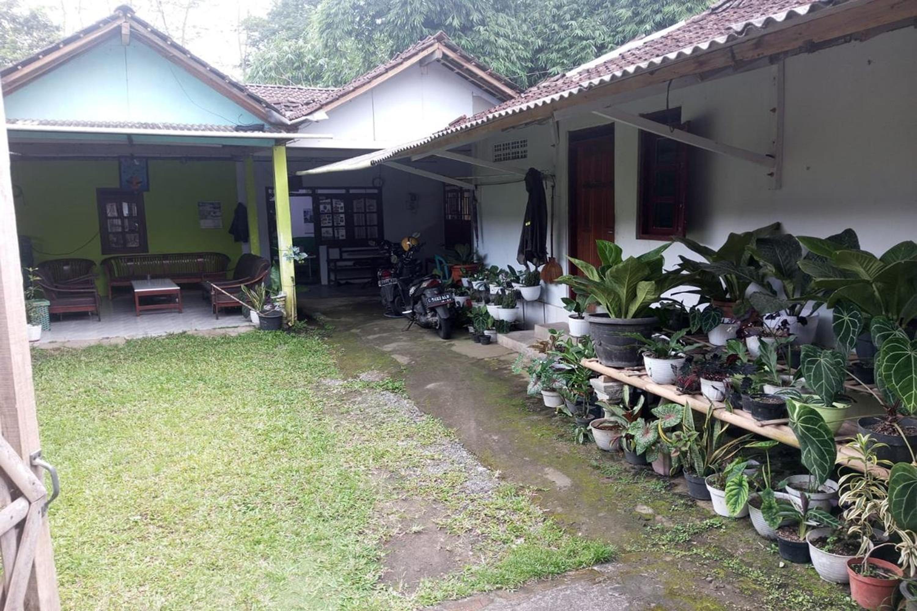 Homestay Wijaya Mulya view 4
