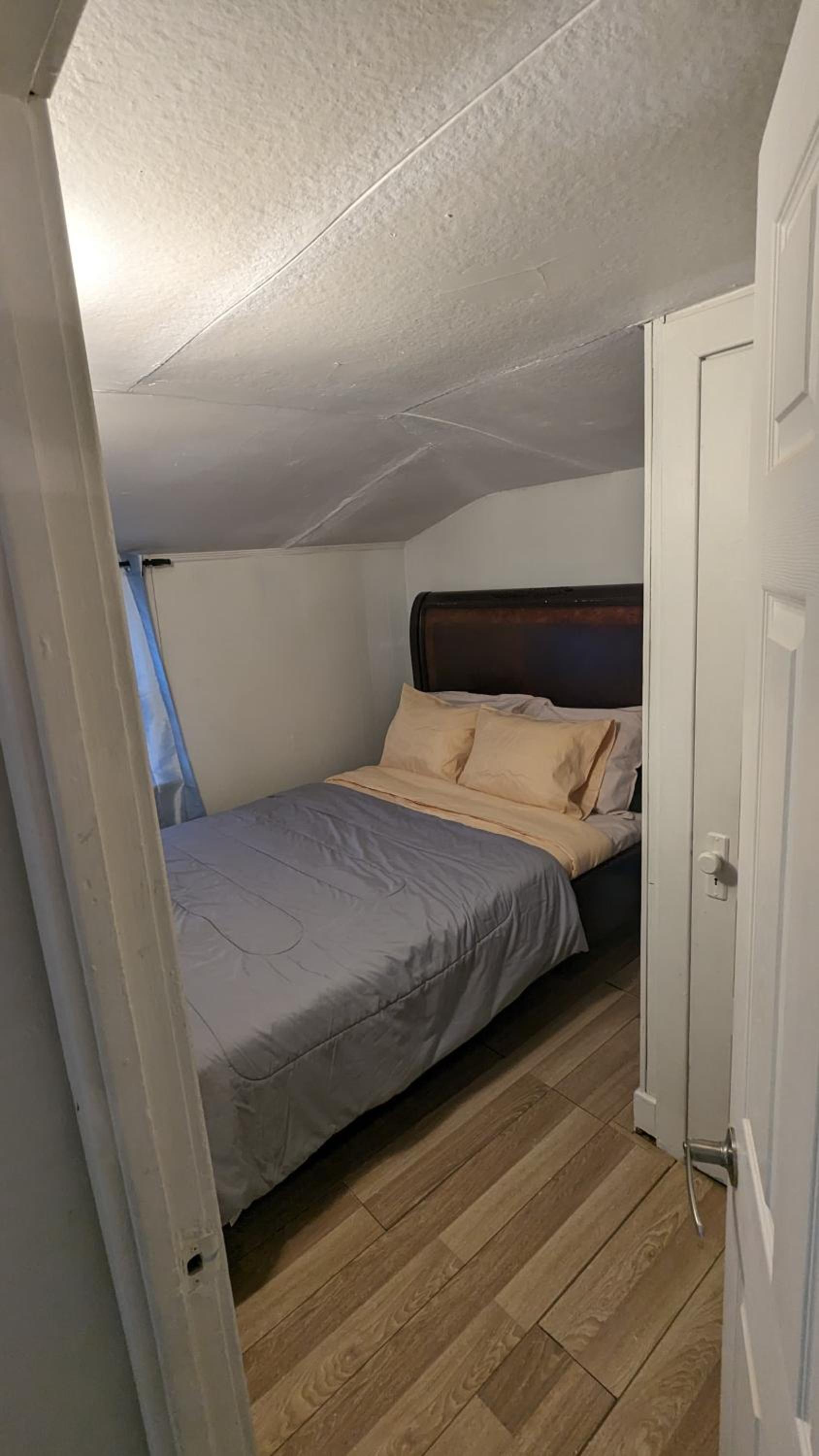 Cozy downtown one bedroom free parking