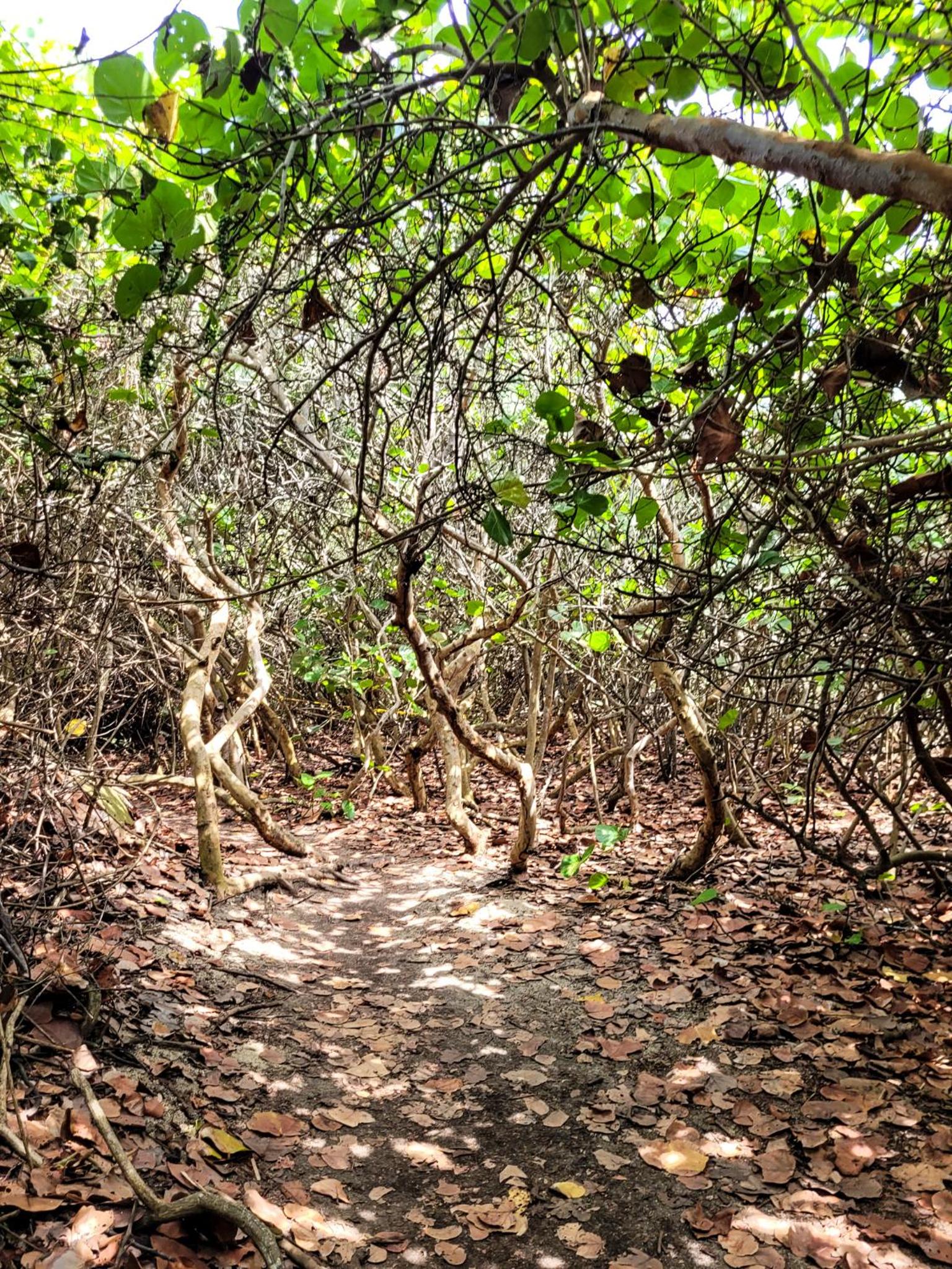 Photo 20
