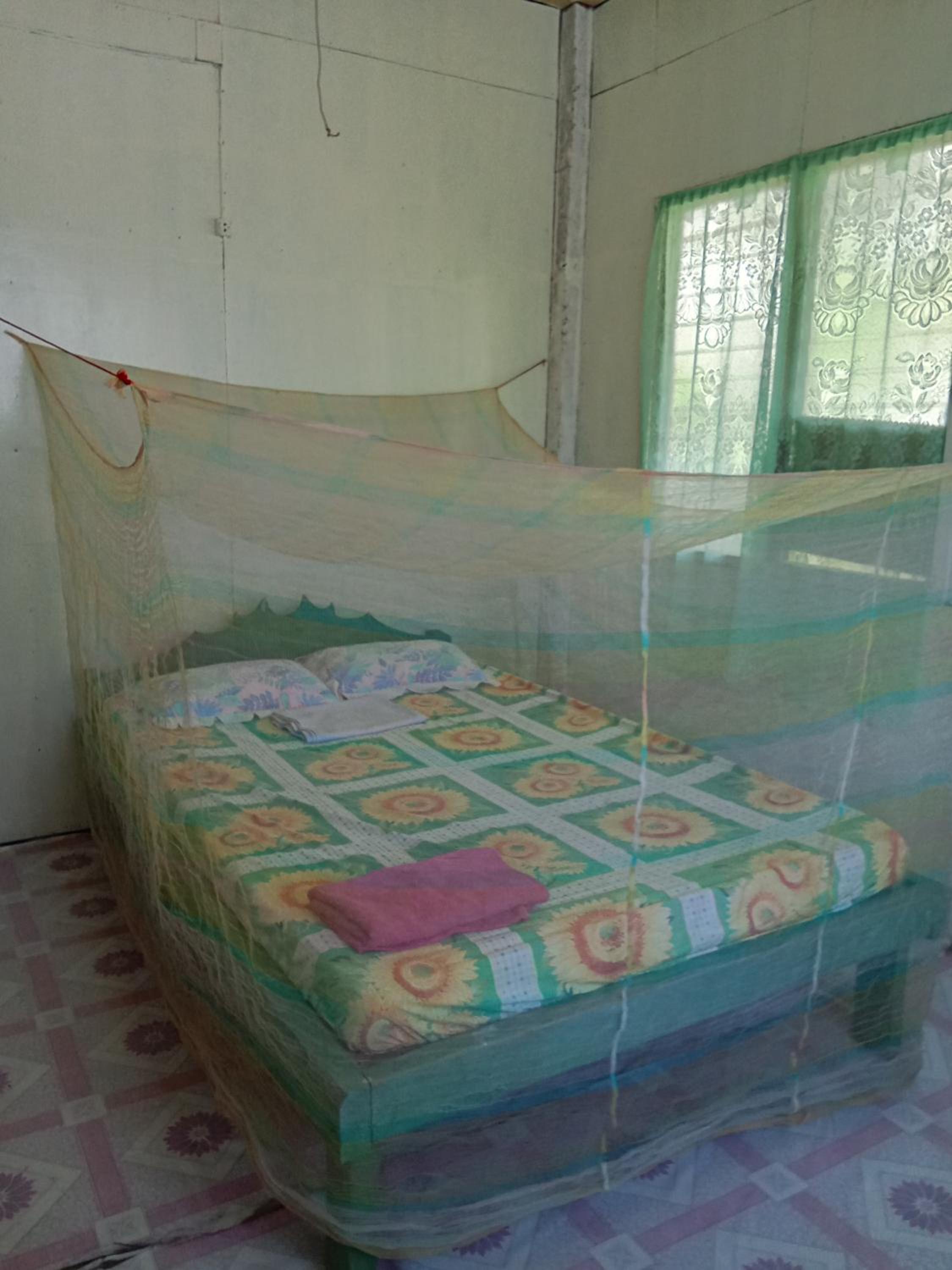 Elnor's homestay