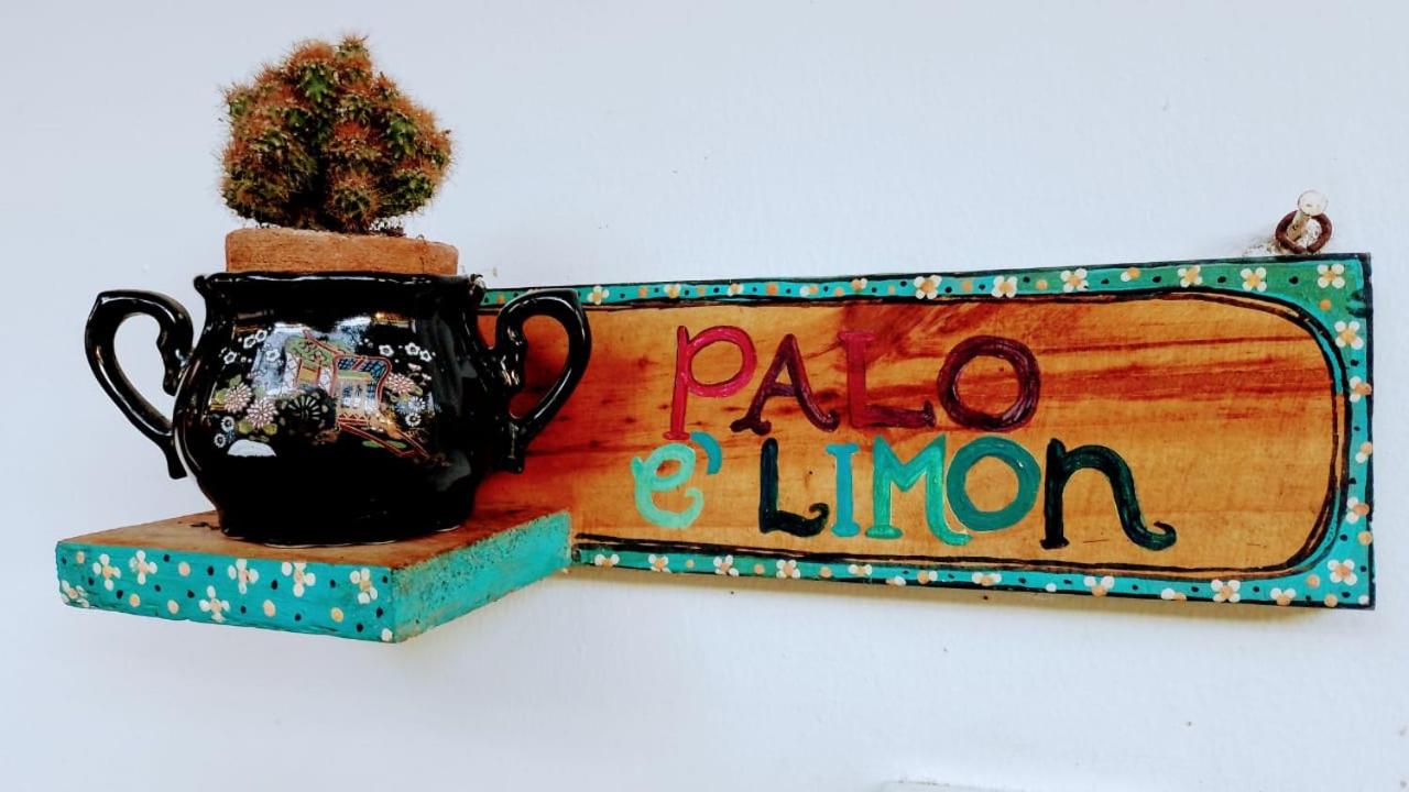 Hermoso Palomino