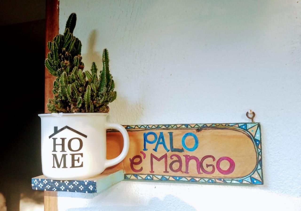 Hermoso Palomino