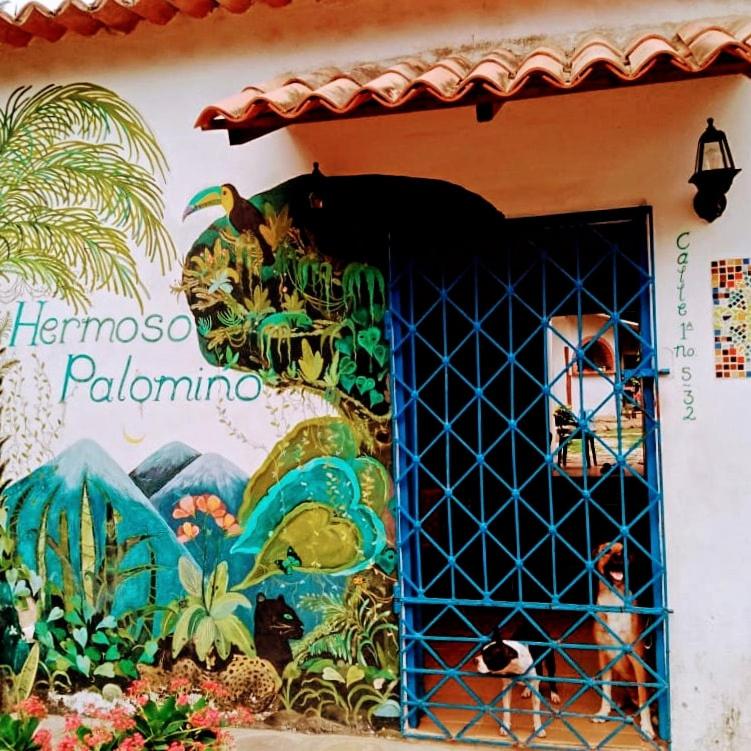 Hermoso Palomino