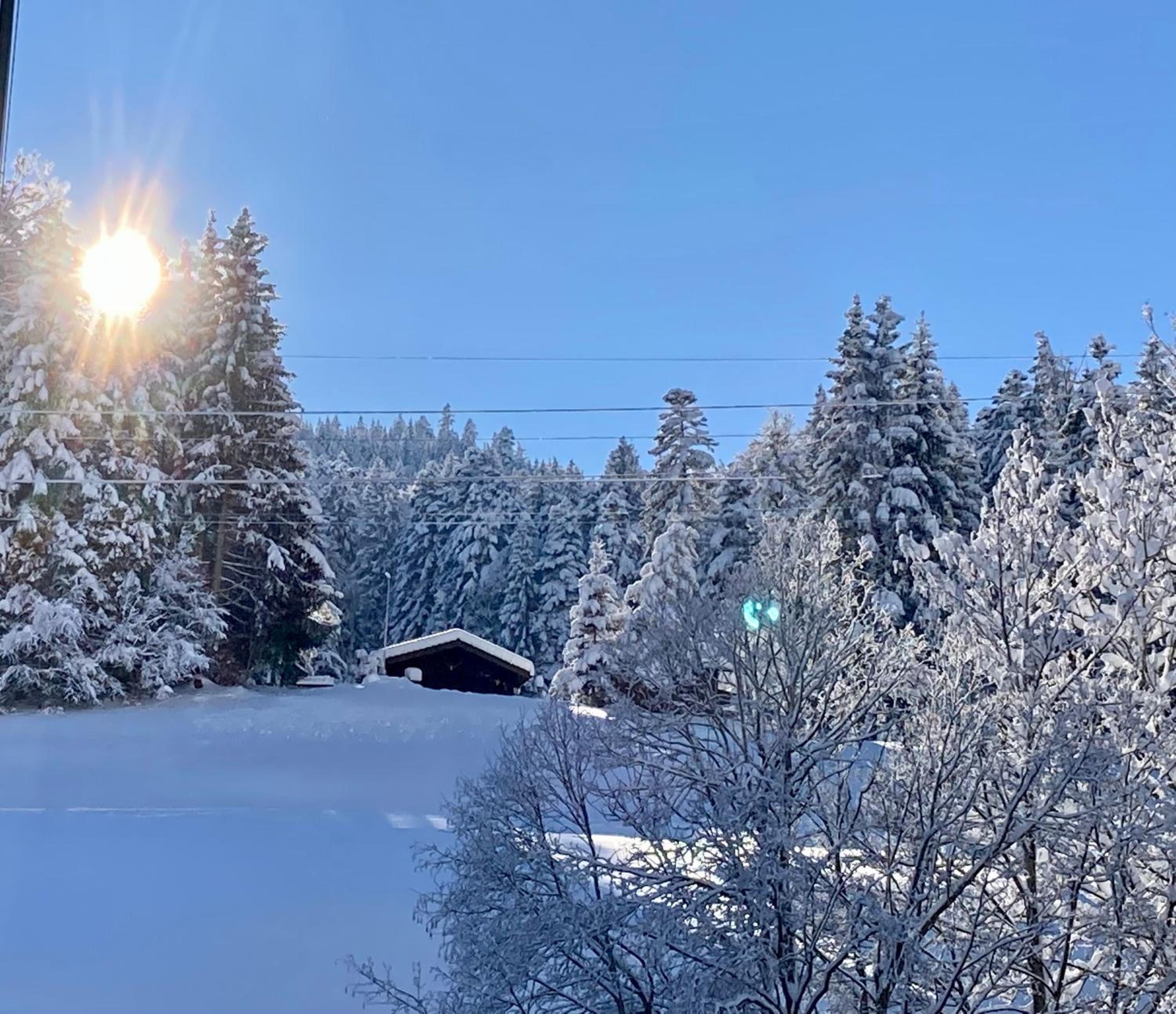 Ferienwohnung Haus am Bach in Toggenburg