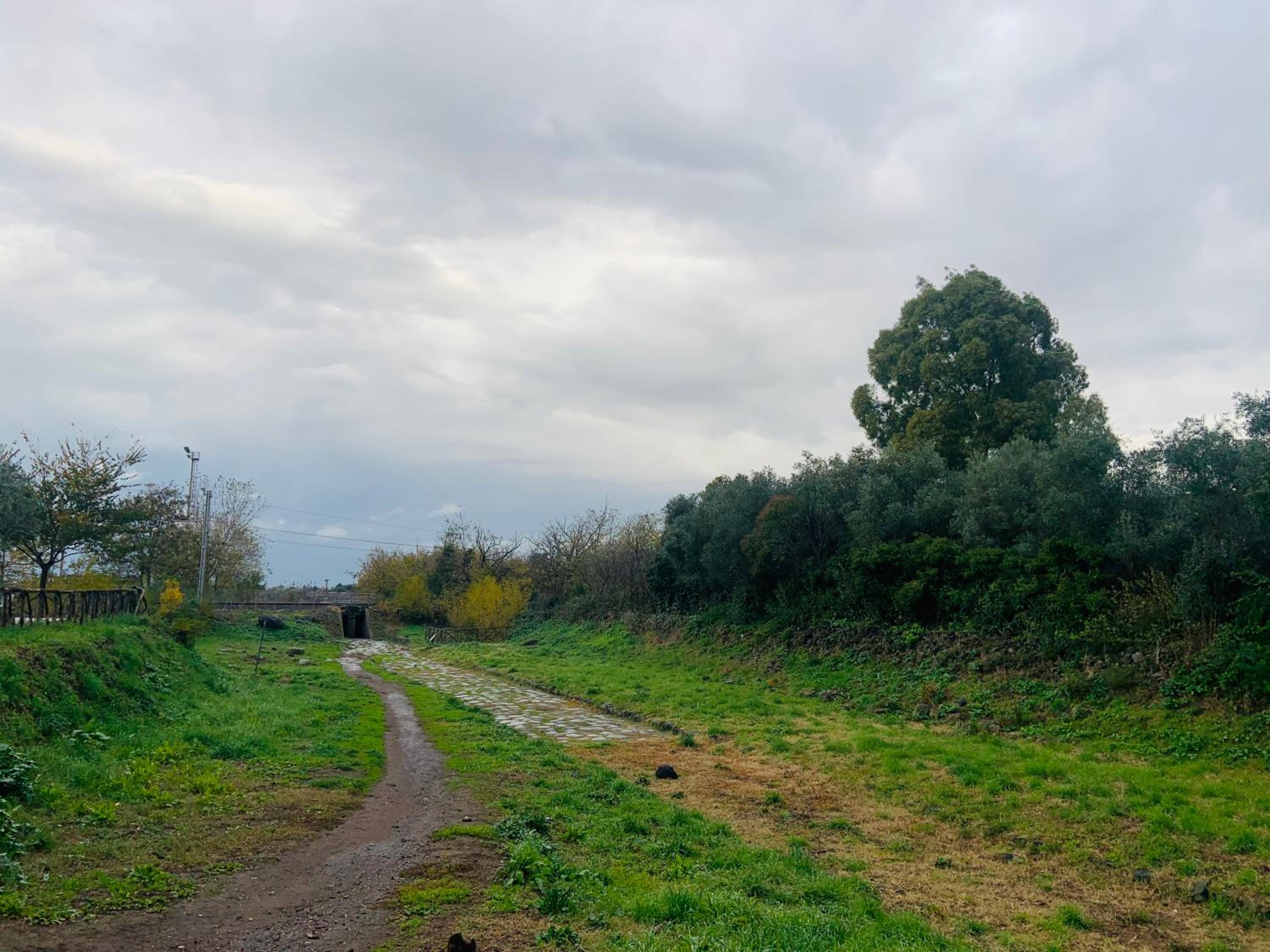 Holiday Home 40