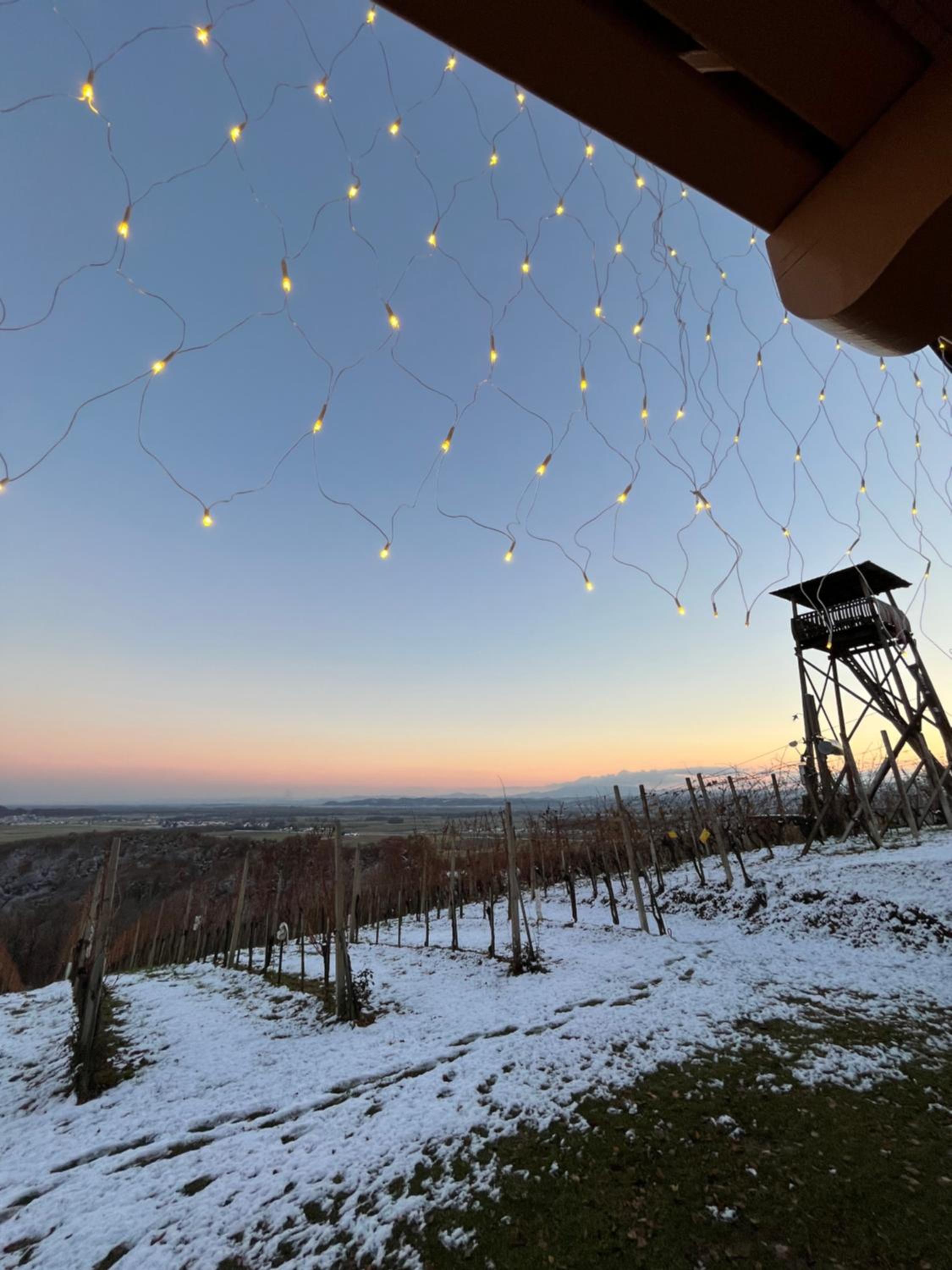 Villa VINEYARD