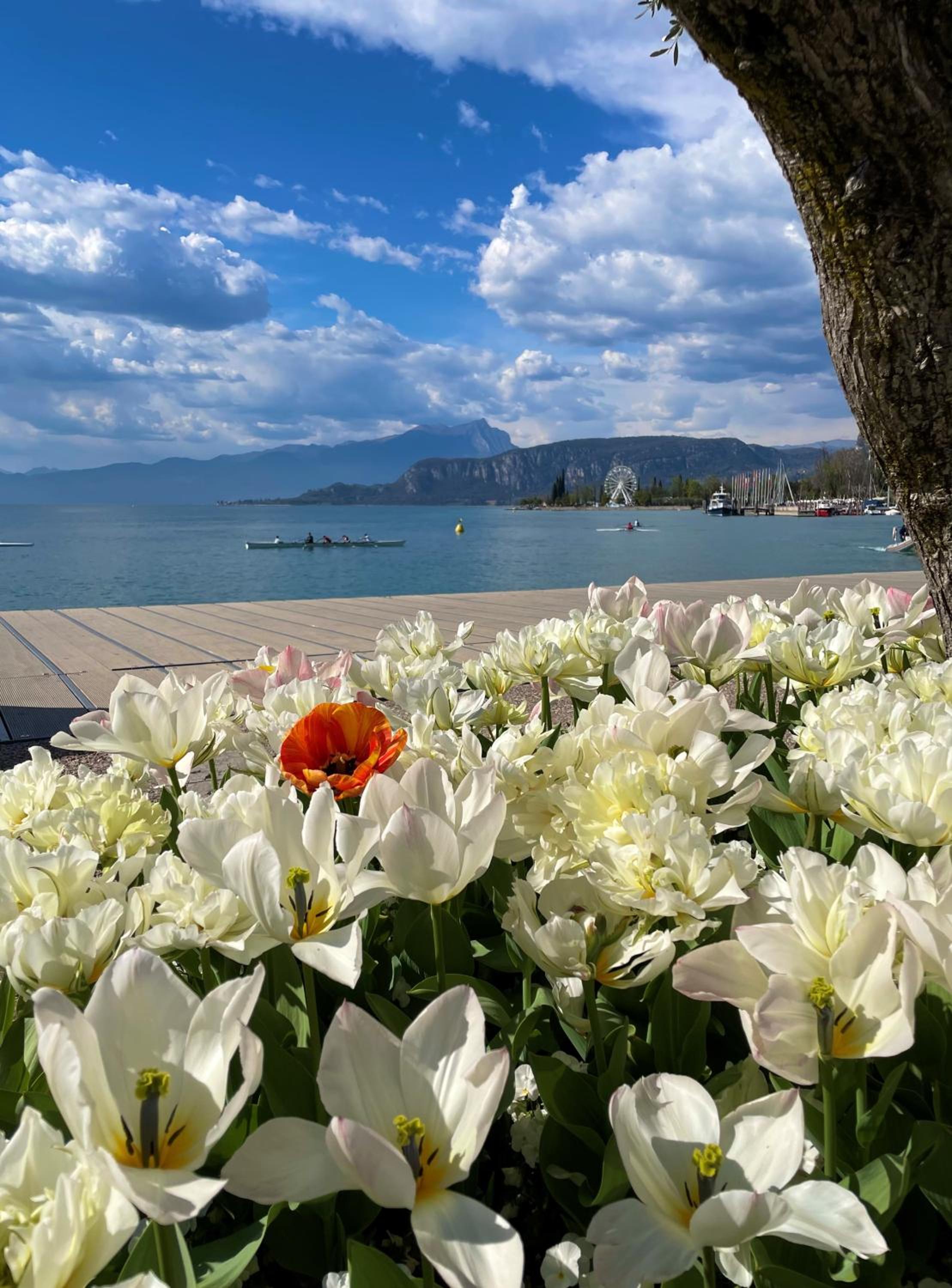 Bardolino City Life Apartments