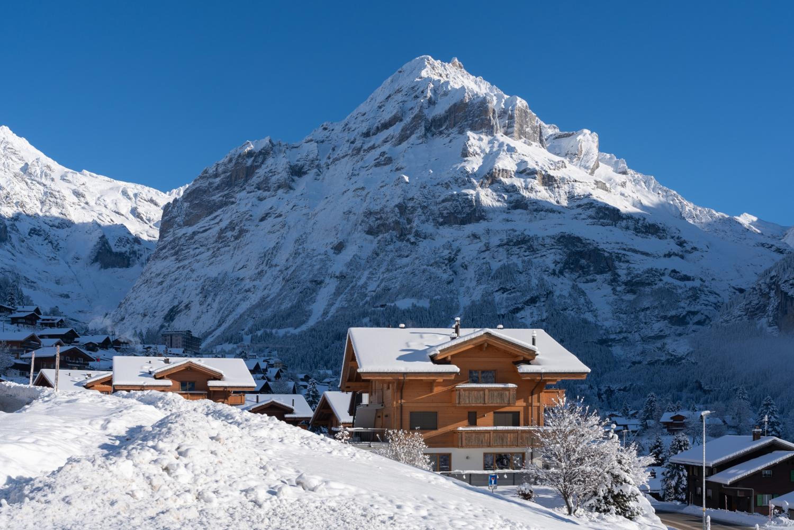 Chalet Alia and Apartments-Grindelwald by Swiss Hotel Apartments view 2
