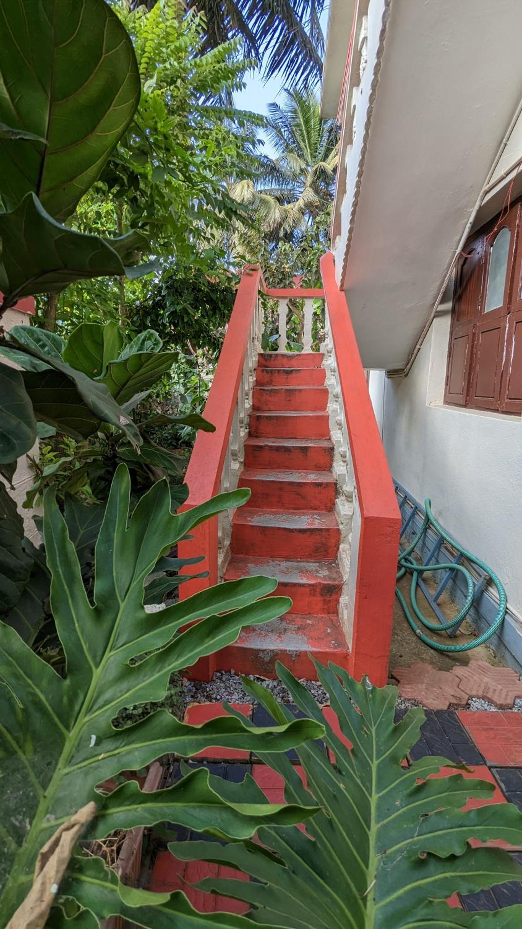 Delight Homestays Coorg view 4
