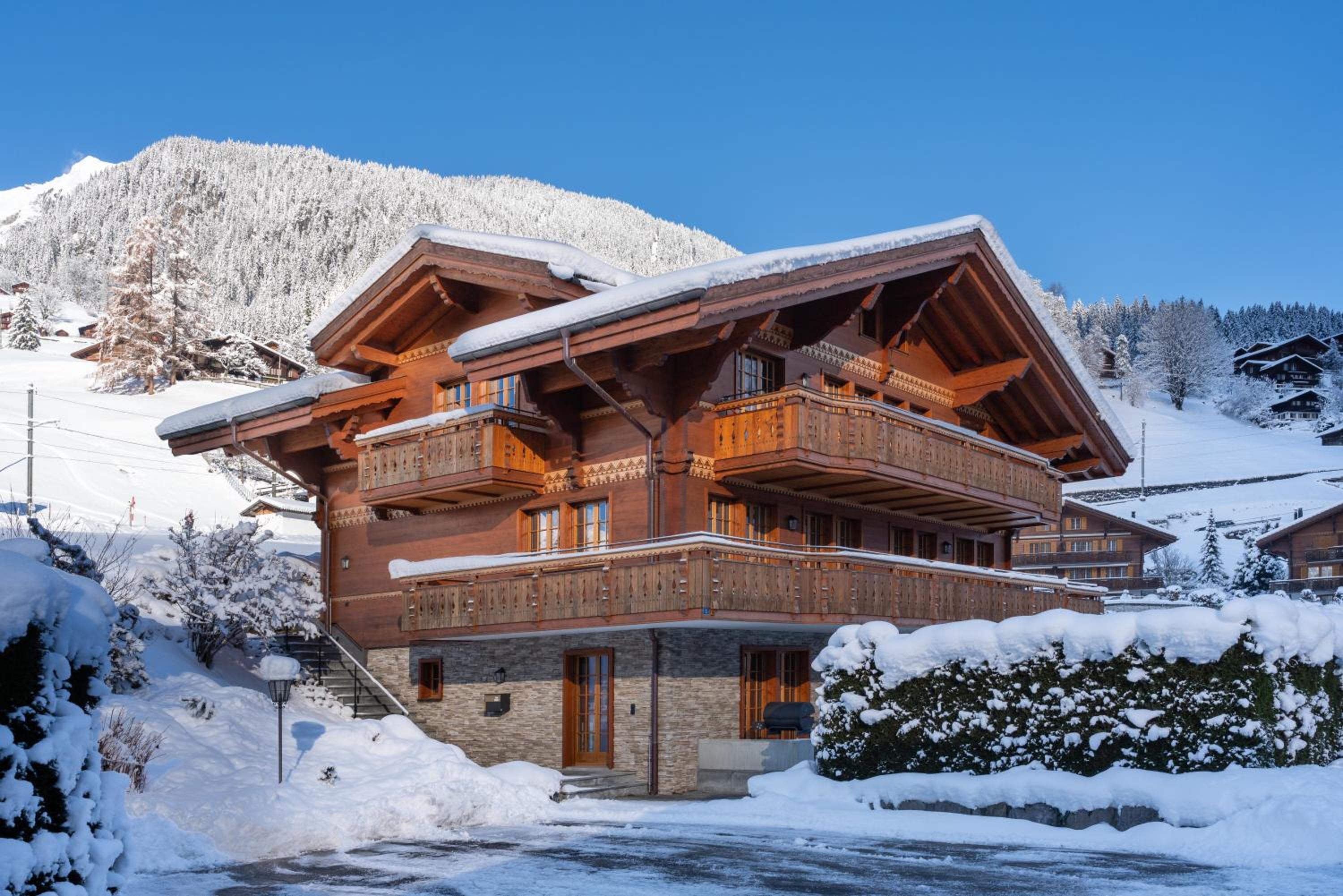 Chalet Alia and Apartments-Grindelwald by Swiss Hotel Apartments view 4