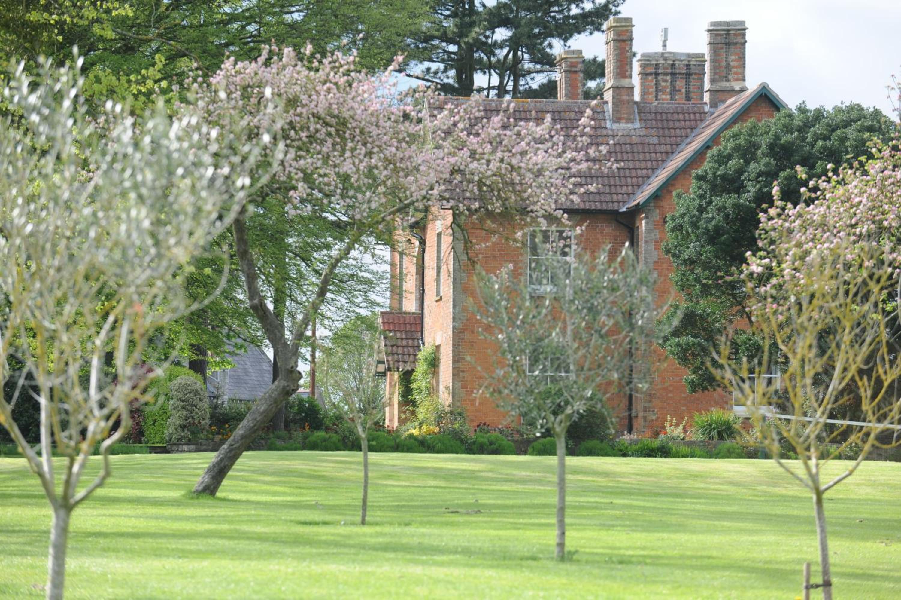 Photo 25