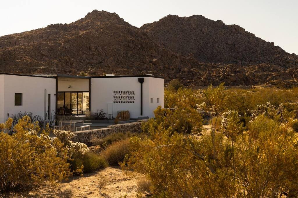 Neutra Home Joshua Tree Luxury Retreat Pool and Spa