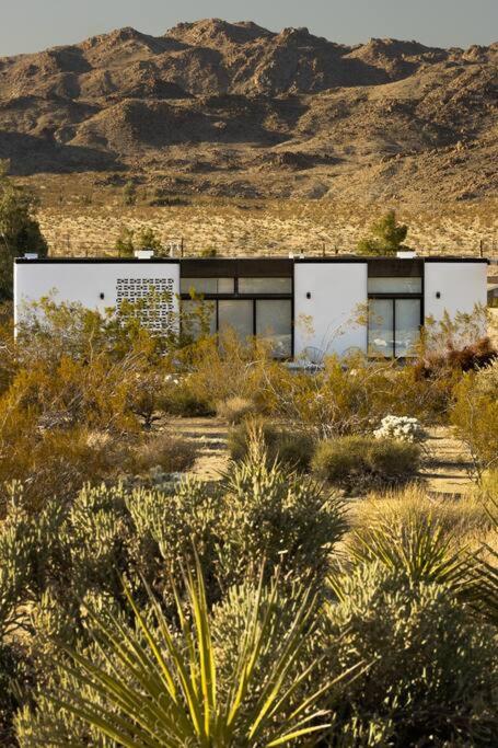Neutra Home Joshua Tree Luxury Retreat Pool and Spa