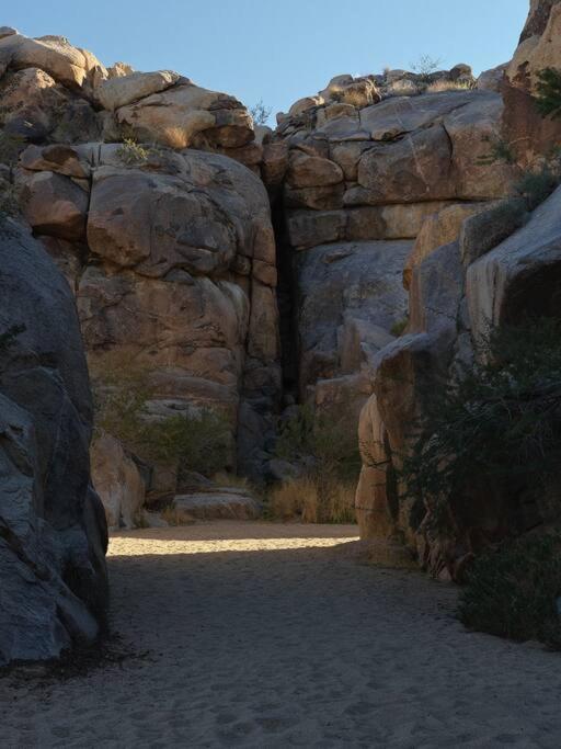 Neutra Home Joshua Tree Luxury Retreat Pool and Spa