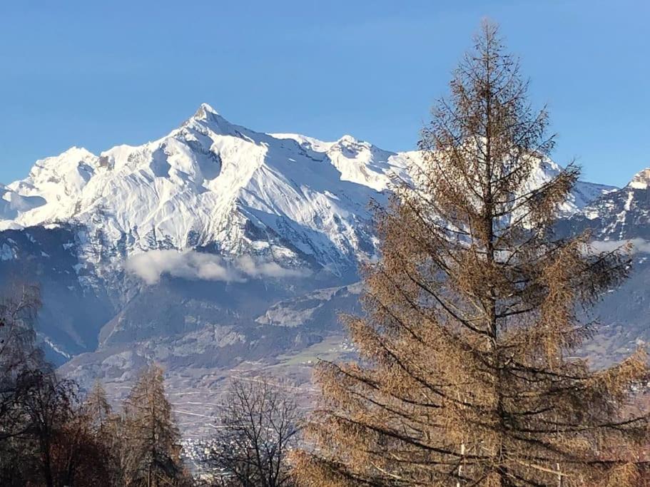 Chalet Rossier Mayens de Sion aux 4 Vallées