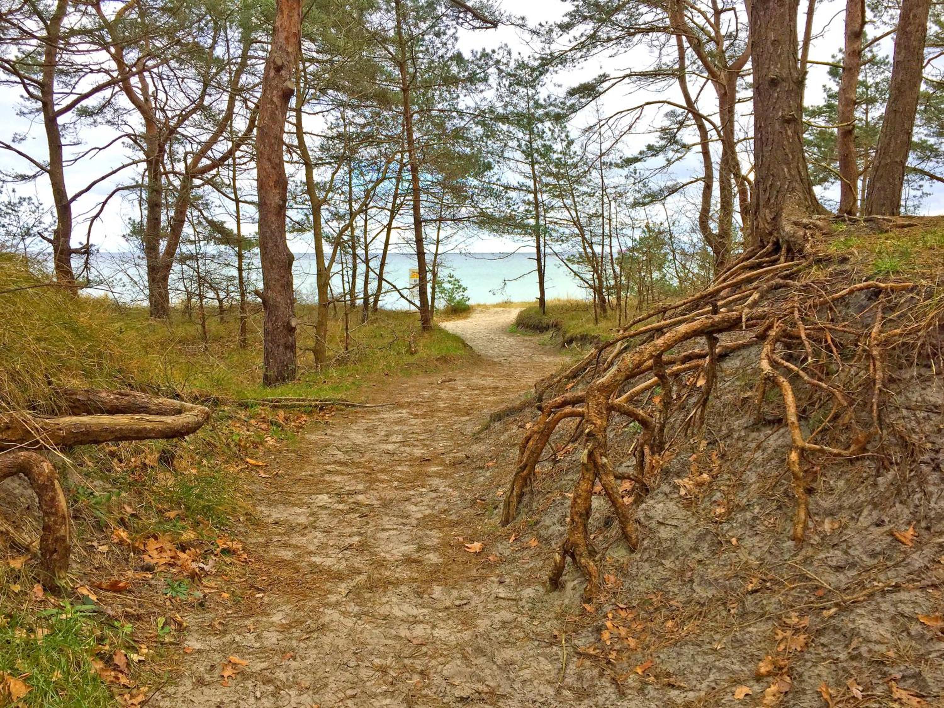 FeWo Prora - Seestern