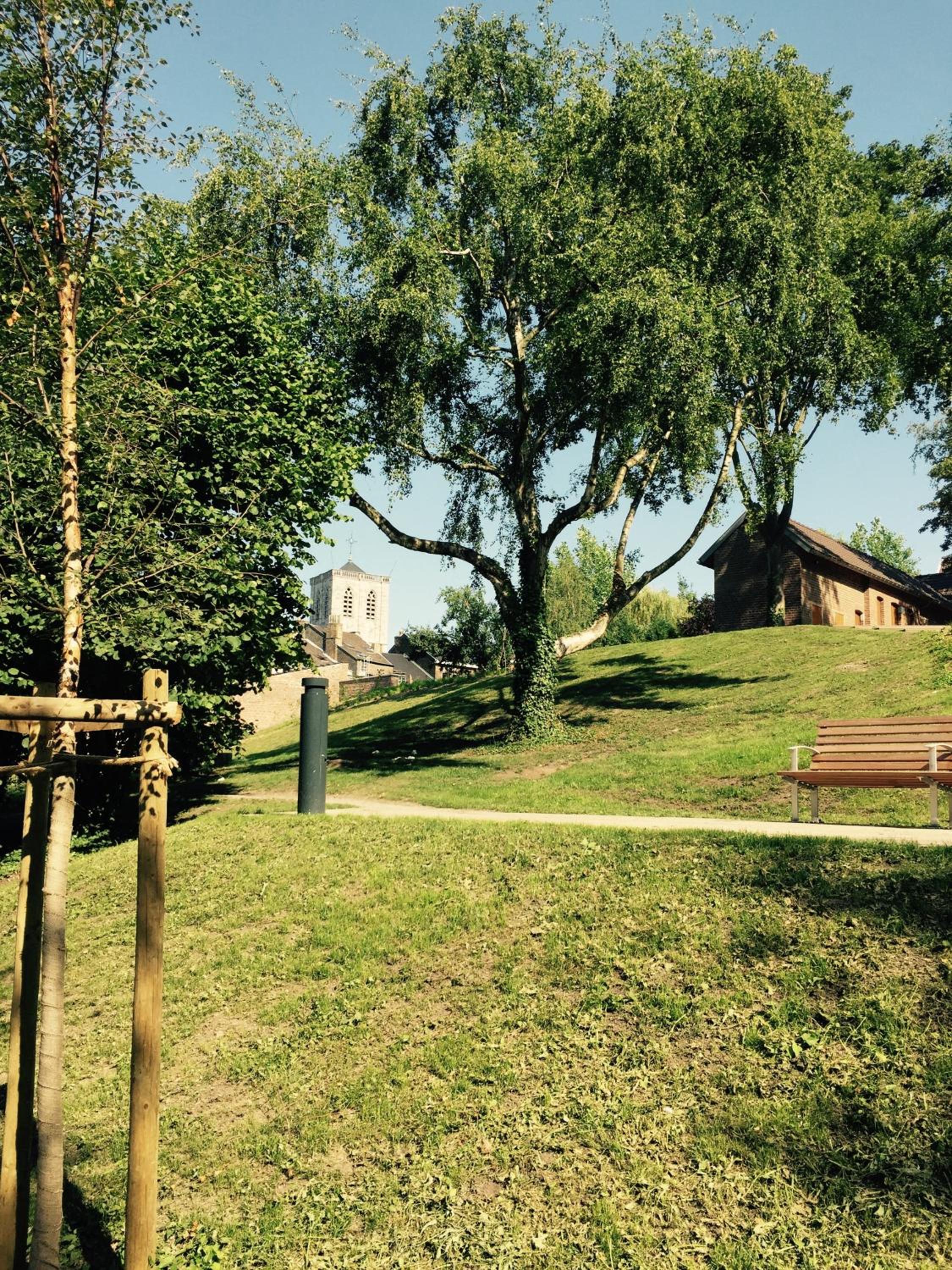 Photo 11