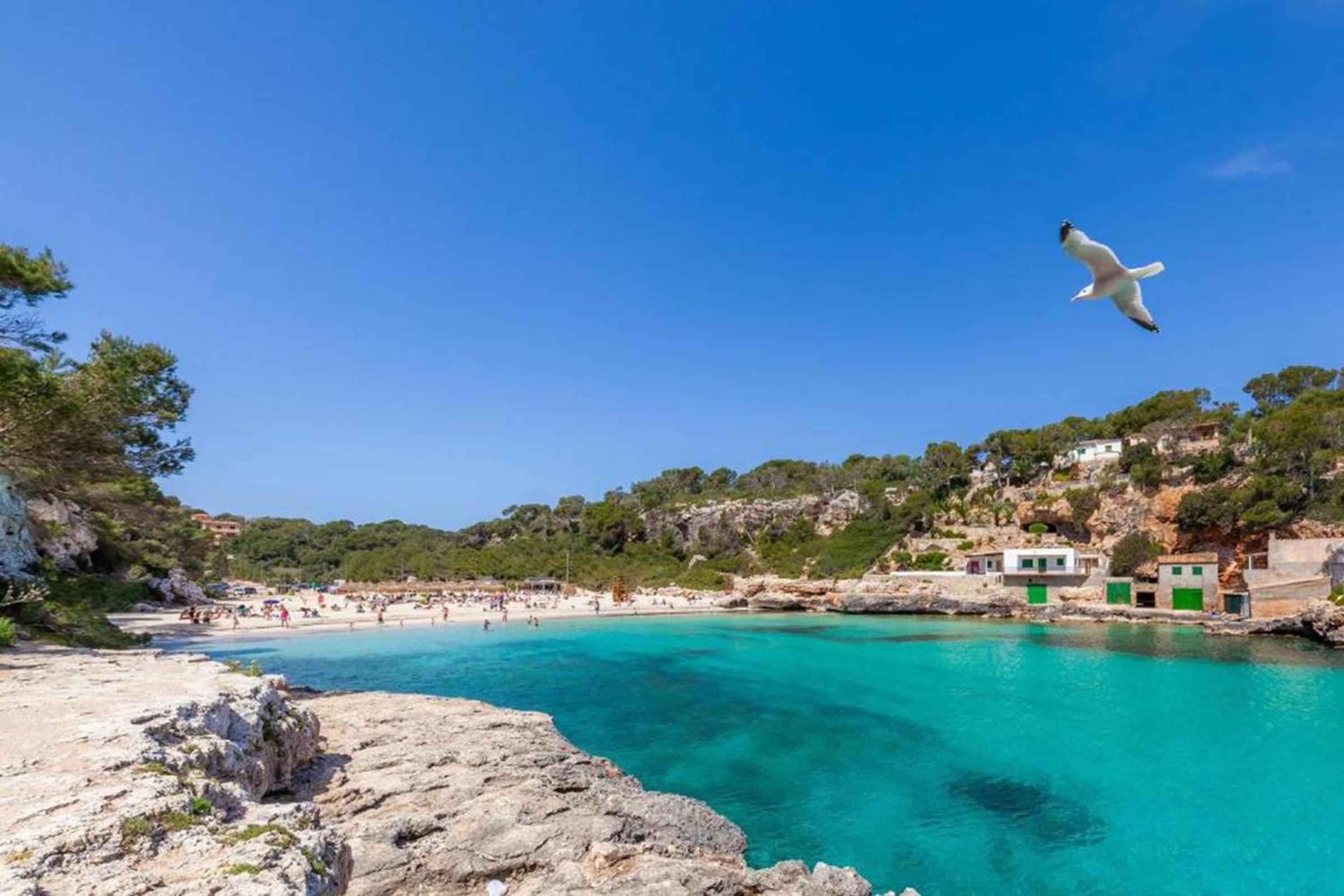 Villa Sa Llimonera by Slow Villas