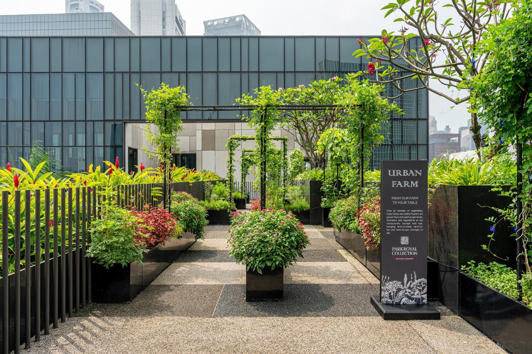 PARKROYAL COLLECTION Pickering 15