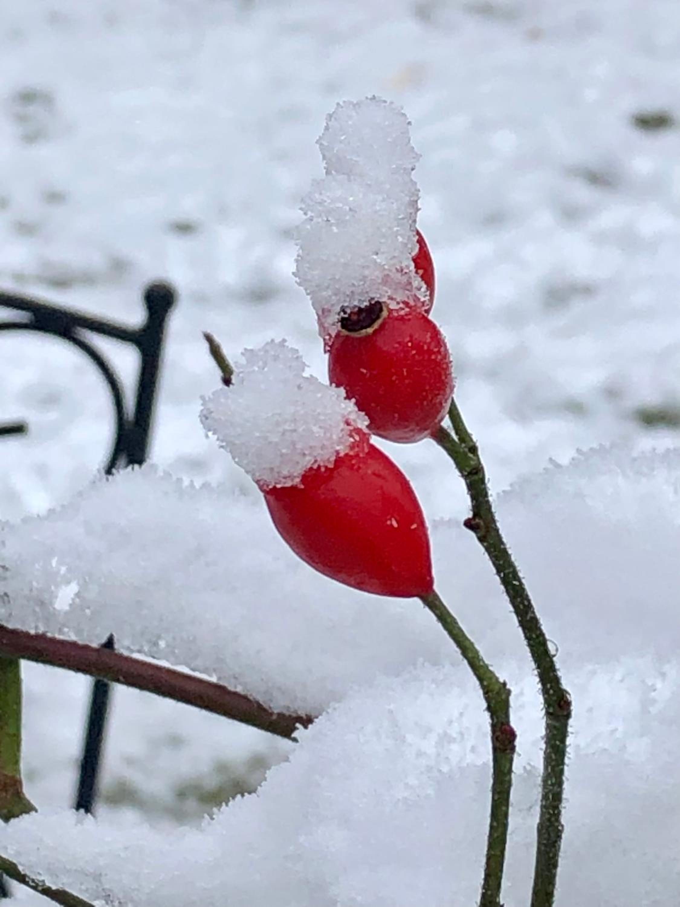 other