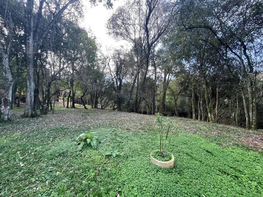 Casinha charmosa e muito verde em Bom Princípio