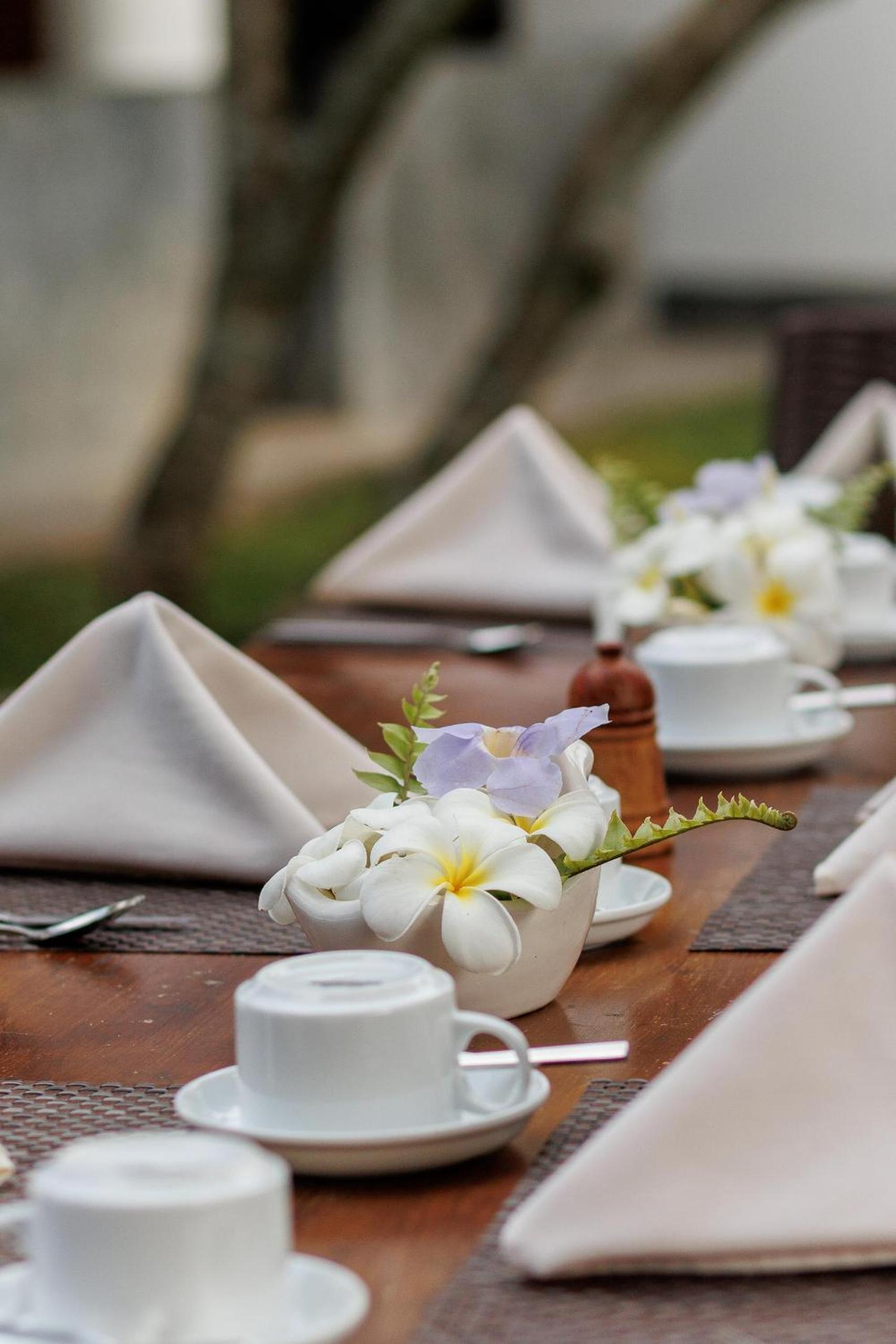 Villa White Queen Resort & Spa
