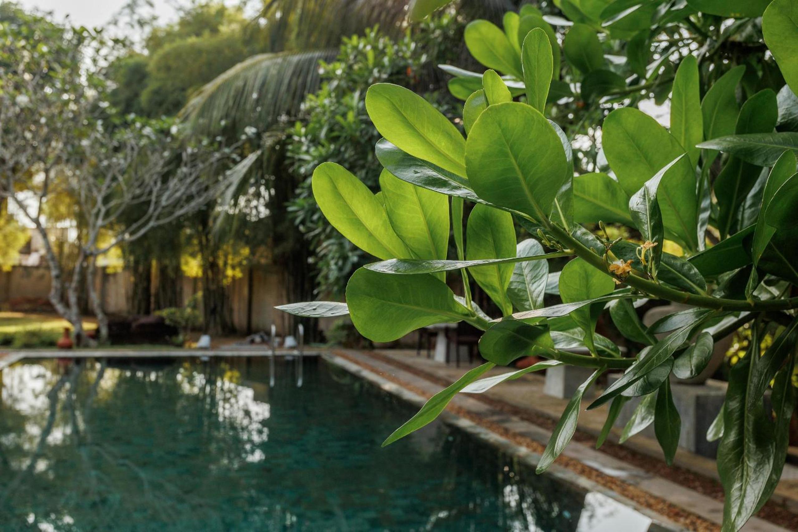 Villa White Queen Resort & Spa