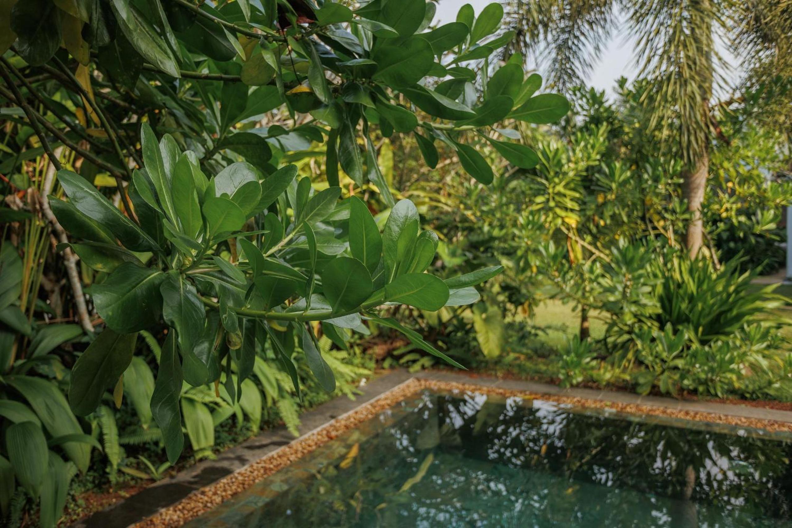Villa White Queen Resort & Spa