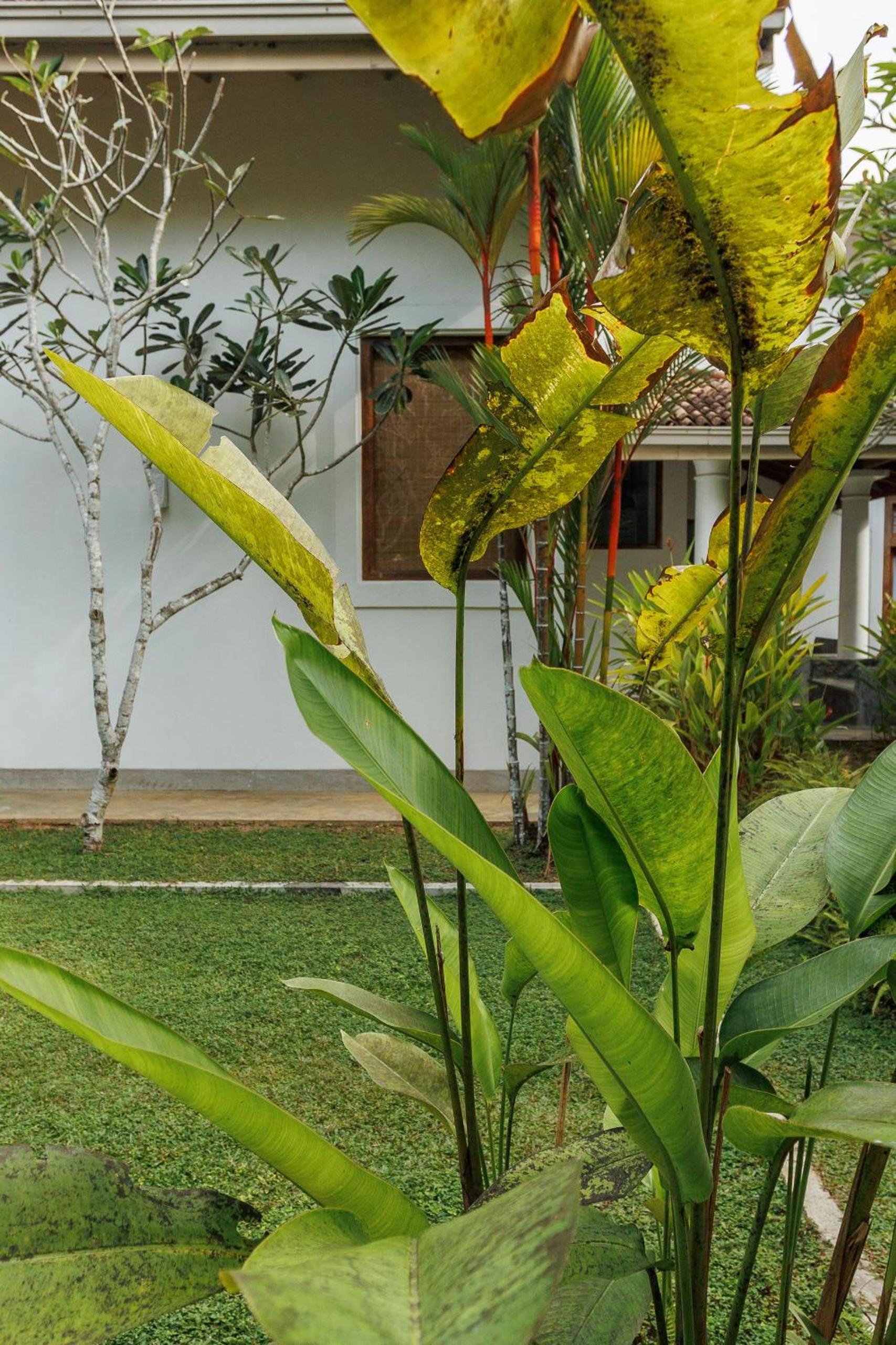 Villa White Queen Resort & Spa