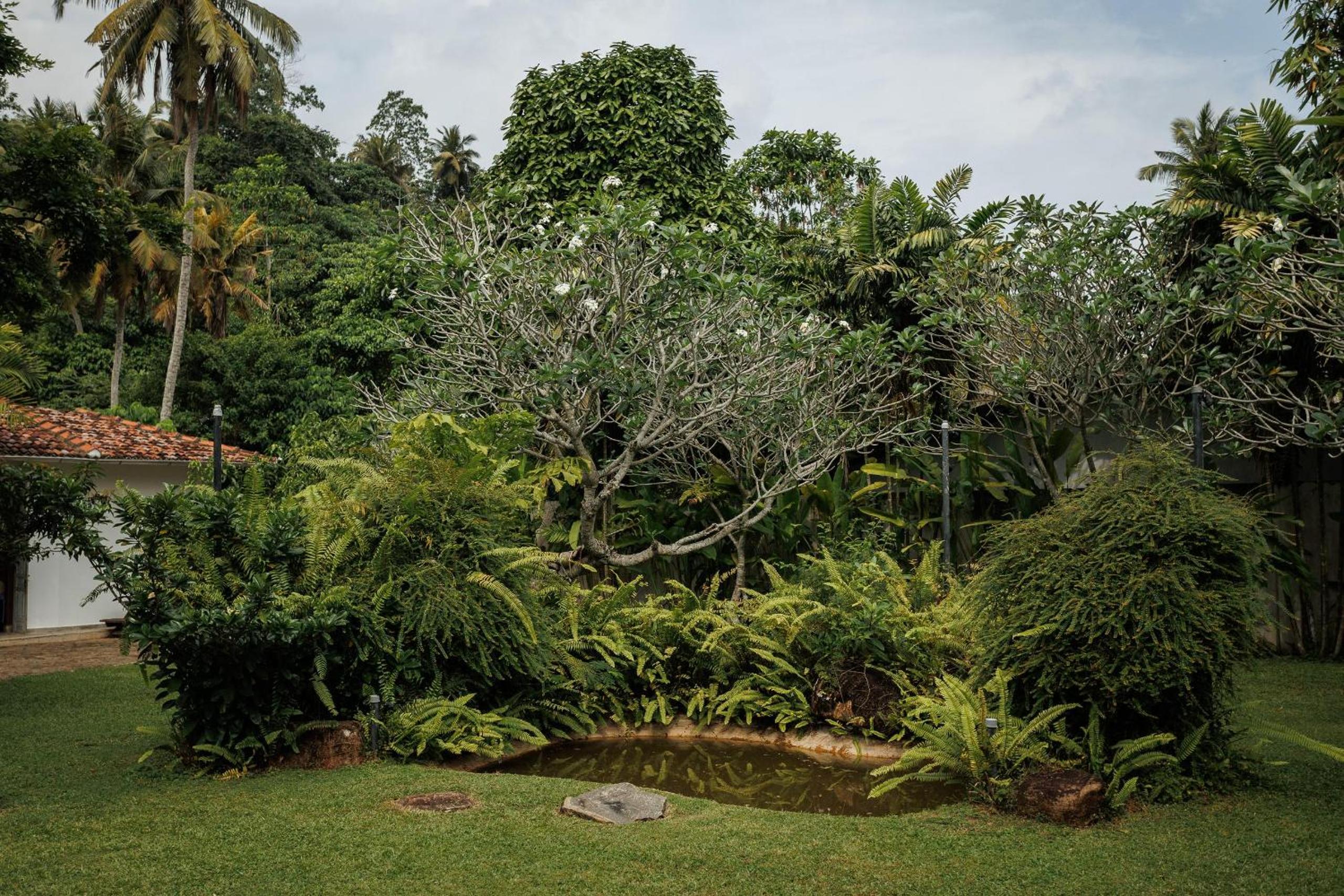 Villa White Queen Resort & Spa