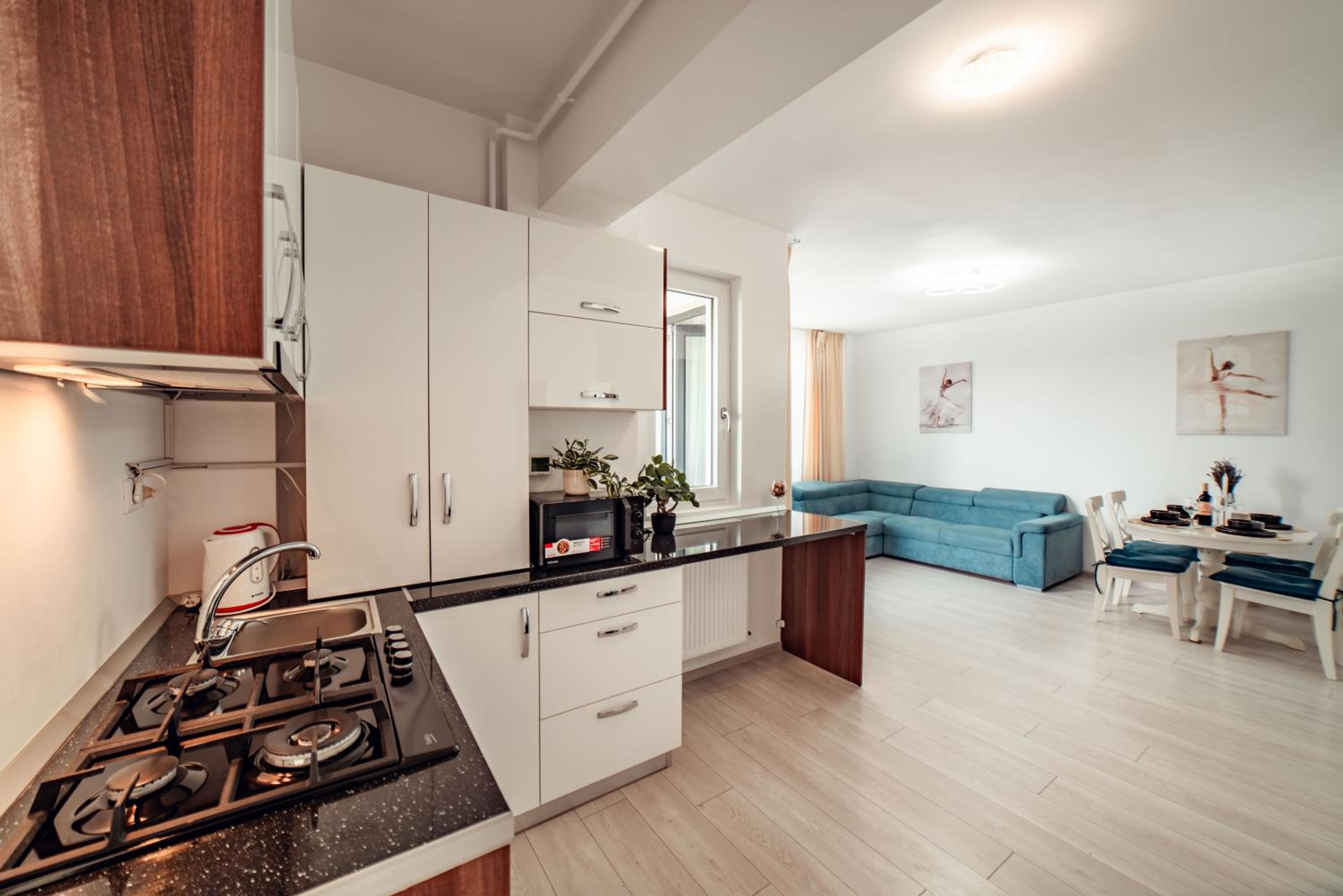 Cozy Central Lifestyle Apartments Iasi Palas