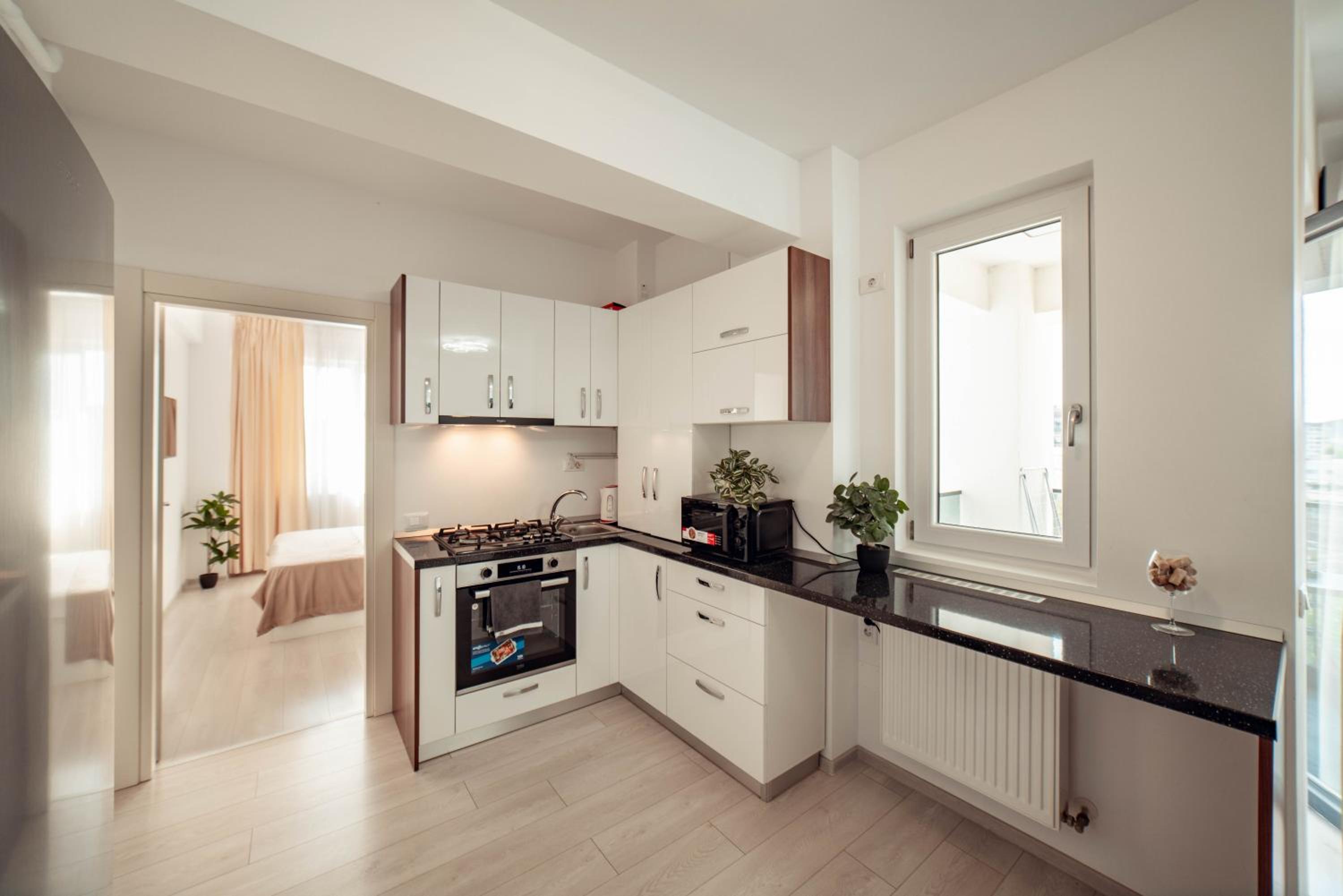 Cozy Central Lifestyle Apartments Iasi Palas