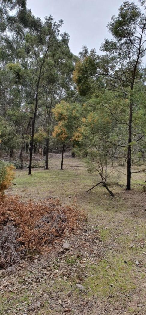 Bellevue Lodge Farm stays near Goulburn