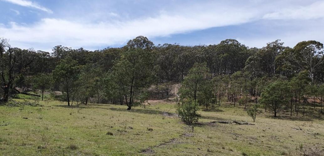 Bellevue Lodge Farm stays near Goulburn