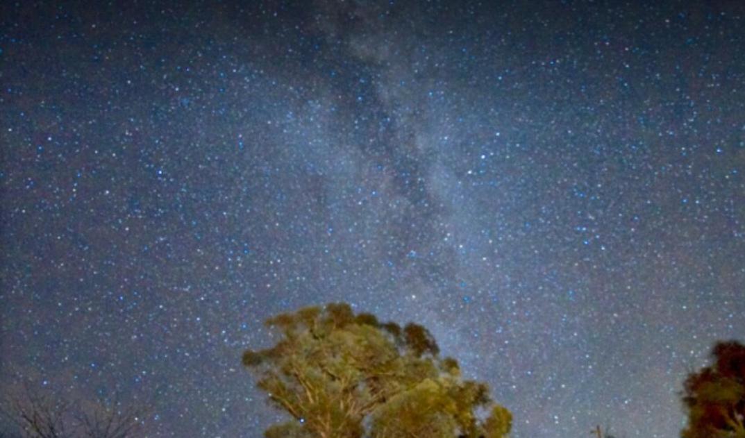 Bellevue Lodge Farm stays near Goulburn