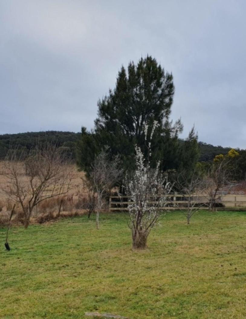 Bellevue Lodge Farm stays near Goulburn