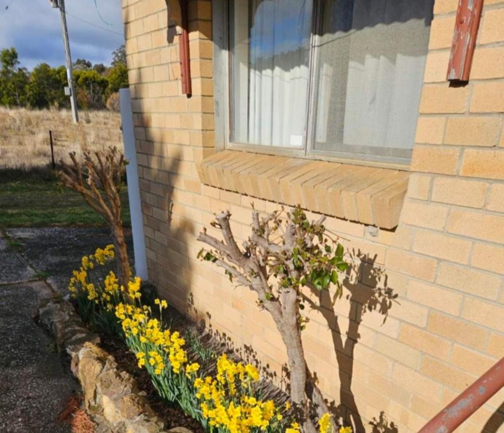 Bellevue Lodge Farm stays near Goulburn