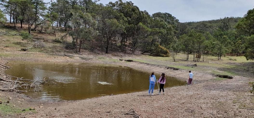 Bellevue Lodge Farm stays near Goulburn