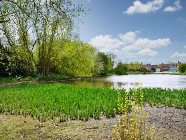 2 Bed in Kings Lynn oc-pocn8 view 5
